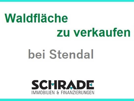 Land-/Forstwirtschaft zum Kauf 19.000 € 17.672 m² Grundstück Tornau Stendal 39576