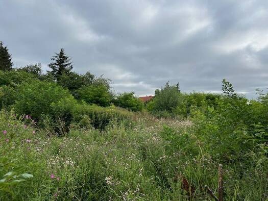 Grundstück zum Kauf 80.000 € 1.001 m² Grundstück Lalendorf 18279