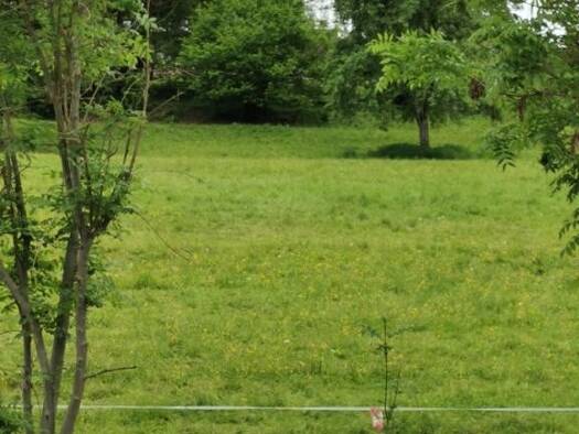 Grundstück zum Kauf 591.440 € 14.300 m² Grundstück Rosegg 9232