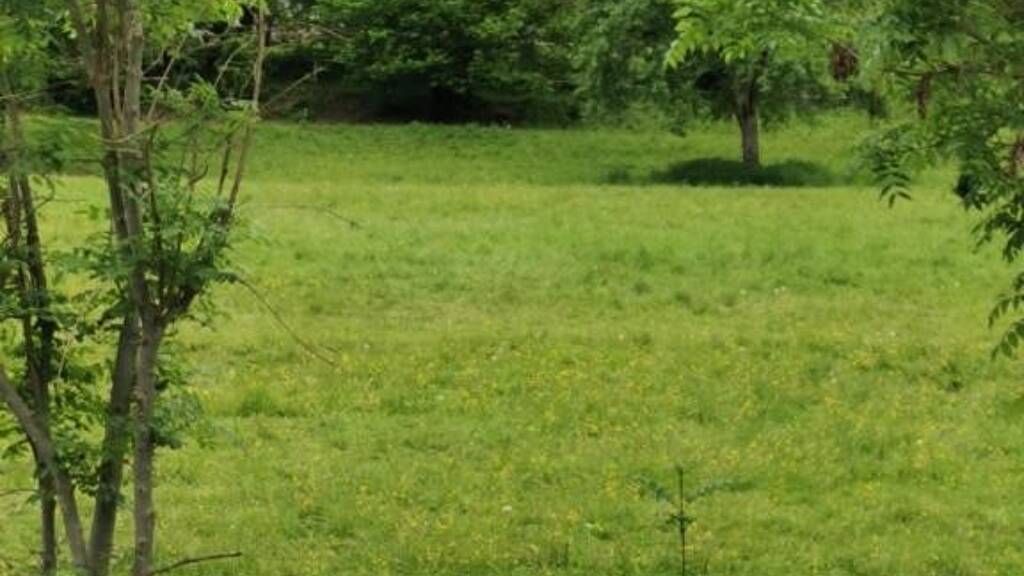 Grundstück zum Kauf 591.440 € 14.300 m² Grundstück Rosegg 9232