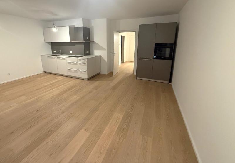 Wohnung zur Miete 1.309 € 2 Zimmer 55 m²<br/>Wohnfläche Bahnhofstra&#223;e Bregenz 6900