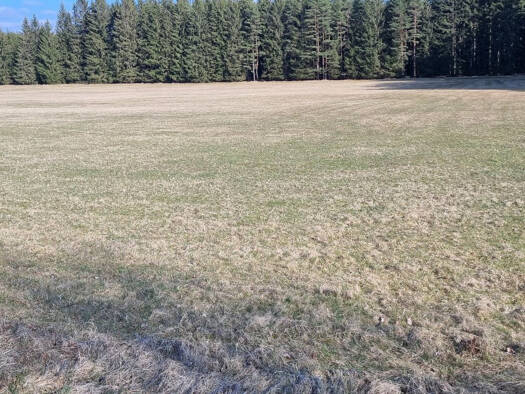 Land-/Forstwirtschaft zum Kauf 45 CZK Chodský Újezd 34701