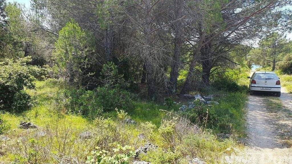 Land-/Forstwirtschaft zum Kauf 118.080 € Vir