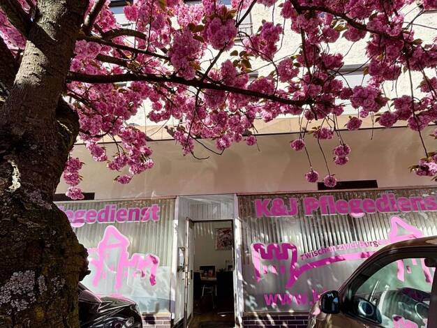 Bürofläche zur Miete 920 € 66,7 m² Bürofläche Wormser Straße 47a Weinheim 69469