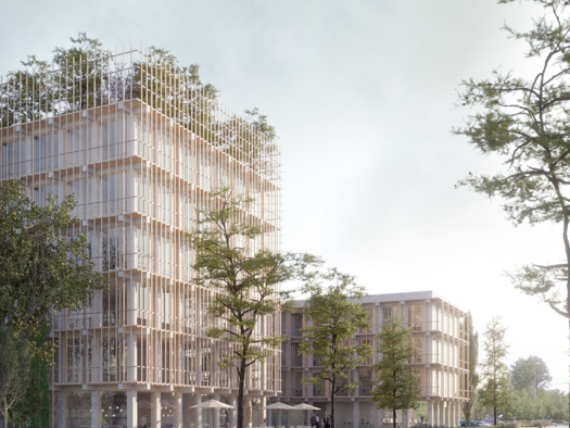 Bürofläche zur Miete 16 € teilbar ab 223 m² Schafhof Nürnberg 90411