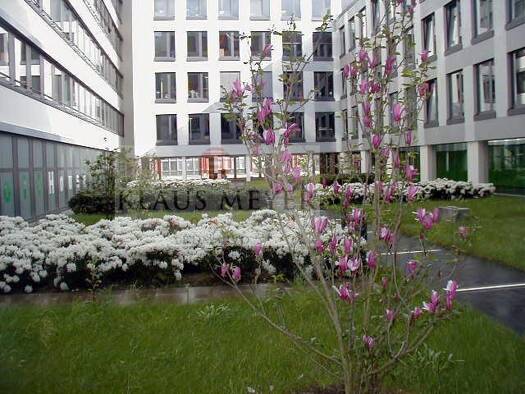 Bürofläche zur Miete provisionsfrei 14,50 € 780 m² Bürofläche teilbar ab 324 m² Hammerbrook Mitte 20097