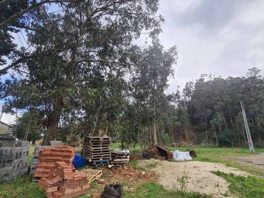 Acker-/Waldstück zum Kauf 150.000 € Avenida de Asturias Vegadeo 33770