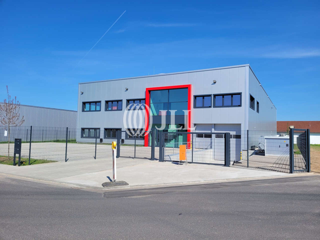 Lagerhalle zur Miete 10 € 1.075 m² Lagerfläche Babenhausen Babenhausen 64832