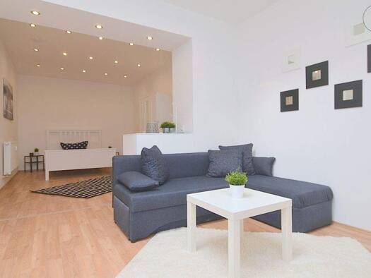 Wohnung zur Miete Wohnen auf Zeit 790 € 1 Zimmer 45 m² frei ab sofort Südstadt Fürth 90763