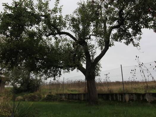 Bauernhaus zum Kauf 399.000 € 4 Zimmer 80 m² 3.500 m² Grundstück frei ab sofort Schachten Altfraunhofen 84169