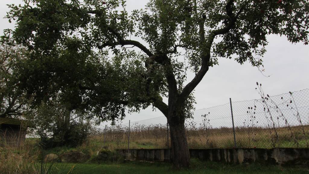 Landwirtschaftliche Fläche zum Kauf Siffkofen Mintraching 93098