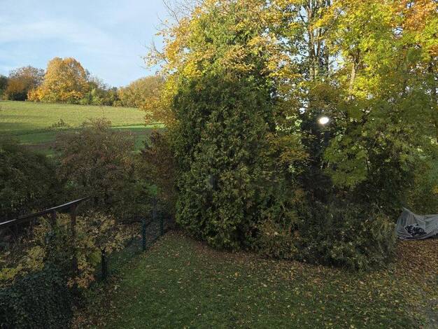 Wohnung zum Kauf provisionsfrei 315.000 € 2 Zimmer 72 m² 1. Geschoss Weilbach Flörsheim 65439