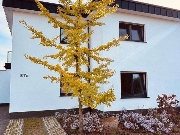 Doppelhaushälfte zum Kauf provisionsfrei 359.900 € 5 Zimmer 142 m² 275 m² Grundstück frei ab 01.07.2027 Lünne Lünne 48480