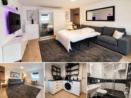 Wohnung zur Miete 890 € 1 Zimmer 36 m² Geschoss 3/3 frei ab sofort Rheinstraße 48 Mühlburg Karlsruhe 76185