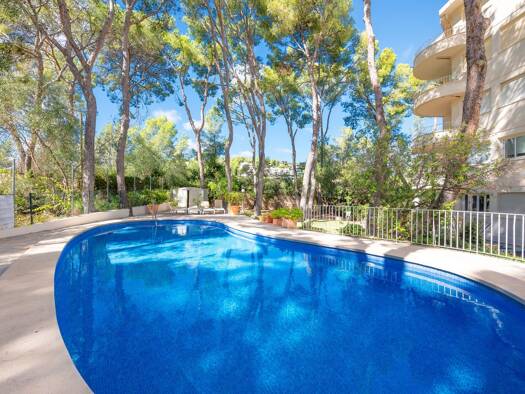 Wohnung zur Miete provisionsfrei 2.600 € 3 Zimmer 65 m² 3. Geschoss Calvià 07181