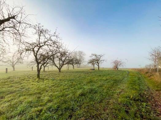 Grundstück zum Kauf 70.000 € 750 m² Grundstück Raßberg Hauzenberg 94051
