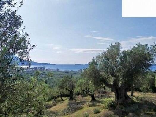 Grundstück zum Kauf 270.000 € 4.345 m² Grundstück Municipality of Pylos and Nestor 24001