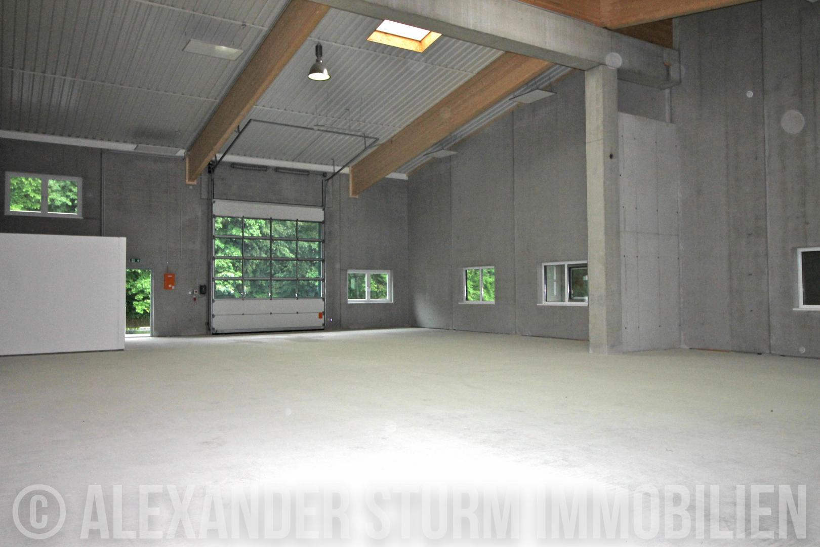 Produktionshalle zur Miete 2.903 € 333,6 m²<br/>Lagerfläche Hallein 5400