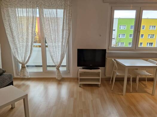 Wohnung zur Miete 900 € 1 Zimmer 26 m² Geschoss 4/5 frei ab sofort Ludwig-Herzfeld-Straße 11 Silberhöhe Halle (Saale) 06132