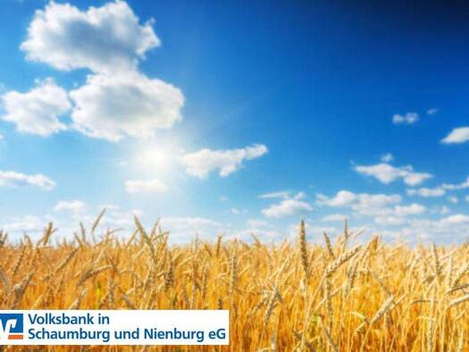 Land-/Forstwirtschaft zum Kauf 78.756 m² Grundstück Pennigsehl 31621