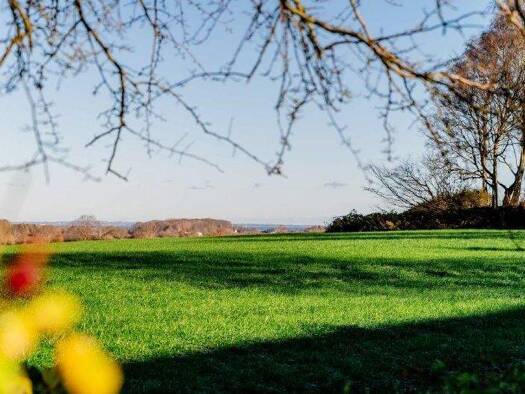Einfamilienhaus zum Kauf 385.000 € 5 Zimmer 119 m² 1.496 m² Grundstück Steinbergkirche Steinberg 24972
