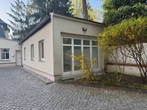 Wohnung zur Miete 660 € 2 Zimmer 66,3 m² Behrischstraße 17 Striesen-Ost Ortsamtsbereich Blasewitz 01277