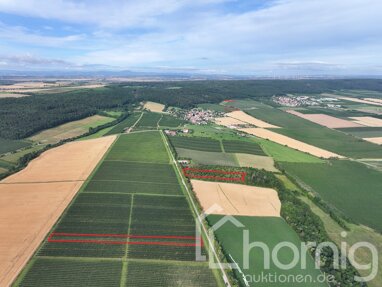 Land-/Forstwirtschaft zum Kauf 36.900 € 22.680 m² Grundstück Kleinfahner Gierstädt/Kleinfahner 99100