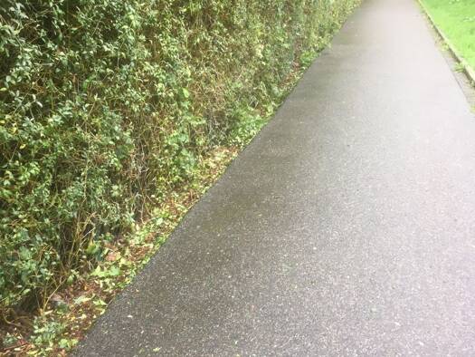 Grundstück zum Kauf provisionsfrei 107.000 € 1.060 m² Grundstück Chopinstr 57 Kappel Chemnitz Kappel 09119