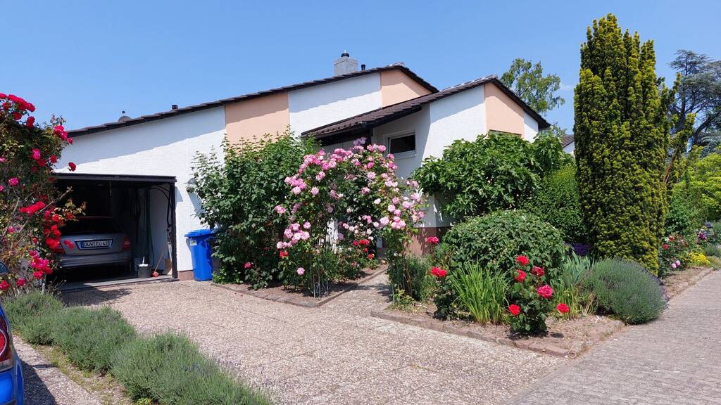 Einfamilienhaus zum Kauf provisionsfrei 685.000 € 5 Zimmer 145 m² 529 m² Grundstück An der Altenbach 27 Wachenheim an der Weinstraße 67157