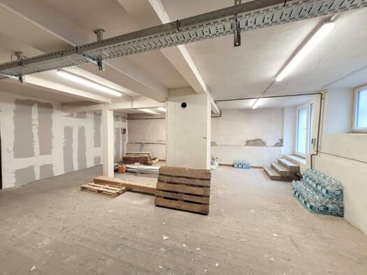 Lagerhalle zur Miete provisionsfrei 250 € 58 m² Lagerfläche Geisingen Geisingen 78166
