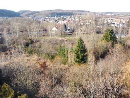 Grundstück zum Kauf 125.000 € 10.590 m² Grundstück Bad Suderode Quedlinburg  OT Gernrode 06485