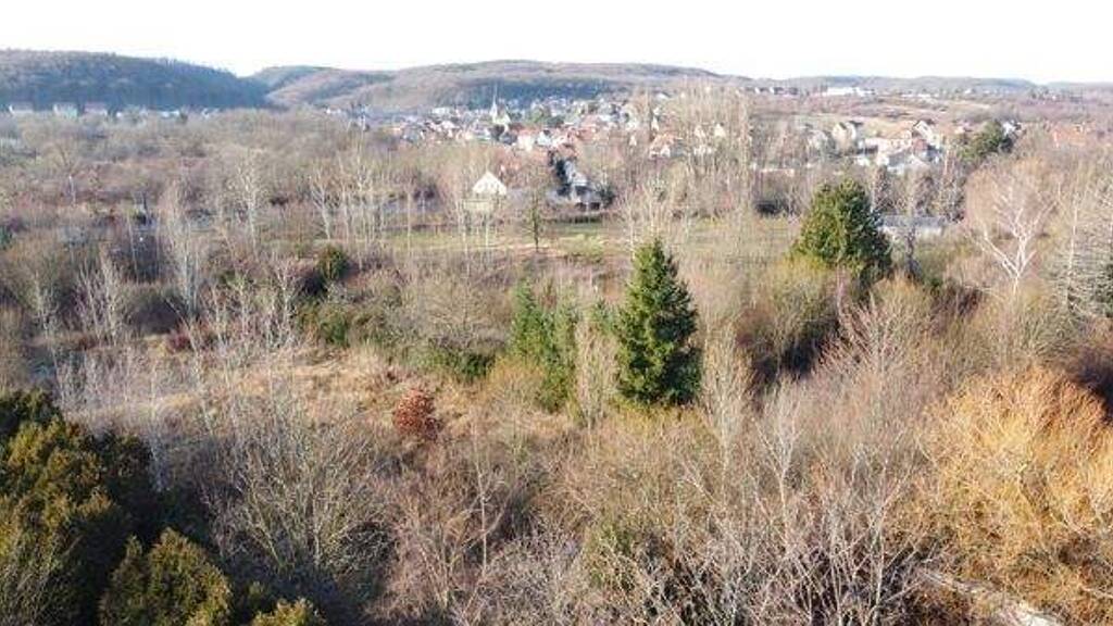 Grundstück zum Kauf 125.000 € 10.590 m² Grundstück Bad Suderode Quedlinburg OT Gernrode 06485