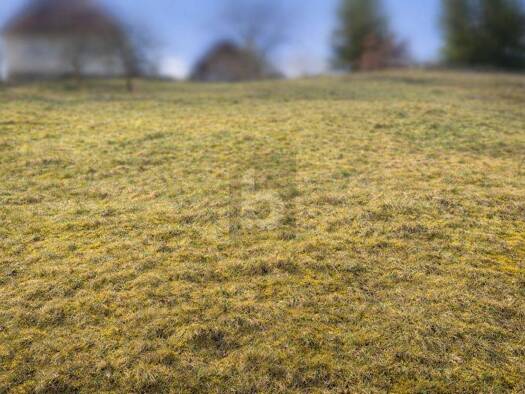 Grundstück zum Kauf 69.000 € 550 m² Grundstück Huzenbach Baiersbronn 72270