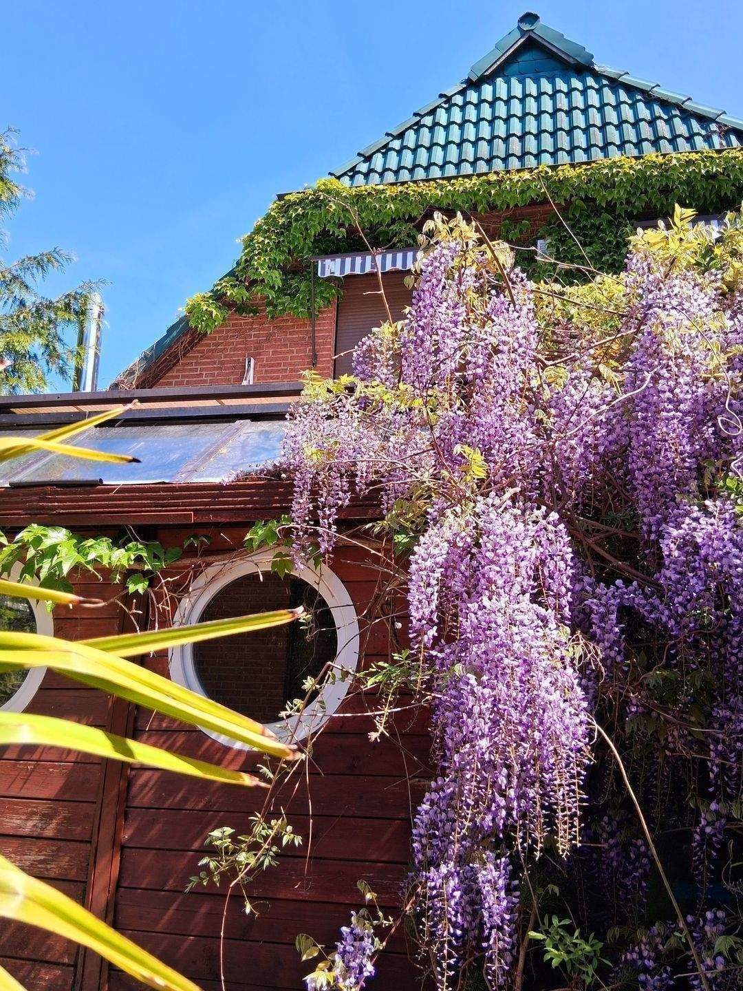 Property thumbnail 9