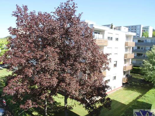 Wohnung zum Kauf als Kapitalanlage geeignet 199.000 € 4 Zimmer 87,1 m² Wittlich Wittlich 54516