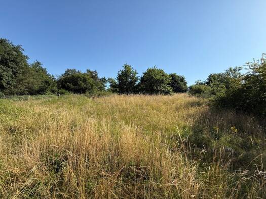 Grundstück zum Kauf 88.000 € 1.400 m² Grundstück Kinderbeuern 54538
