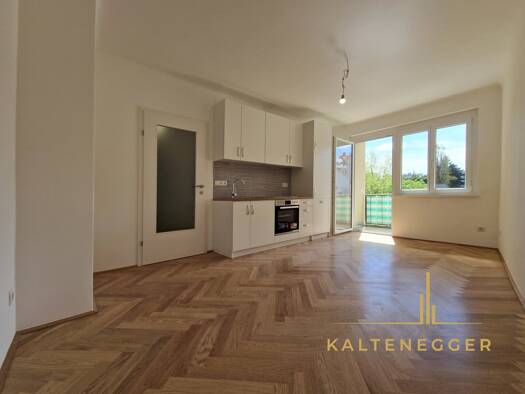 Wohnung zur Miete 617 € 1,5 Zimmer 28,7 m² 1. Geschoss Wien 1190