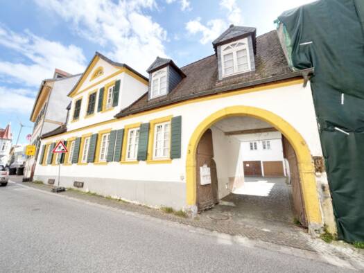Mehrfamilienhaus zum Kauf 16 Zimmer 407 m² 478 m² Grundstück Bad Dürkheim Bad Dürkheim 67098