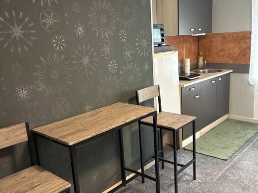 Wohnung zur Miete 390 € 1 Zimmer 28,5 m² Geschoss -4/4 frei ab 24.09.2026 Daniel-Häberle-Straße 14 Innenstadt Kaiserslautern 67657