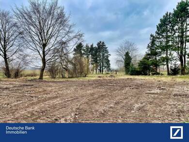 Grundstück zum Kauf 469.200 € 1.173 m² Grundstück frei ab sofort Uetersen 25436