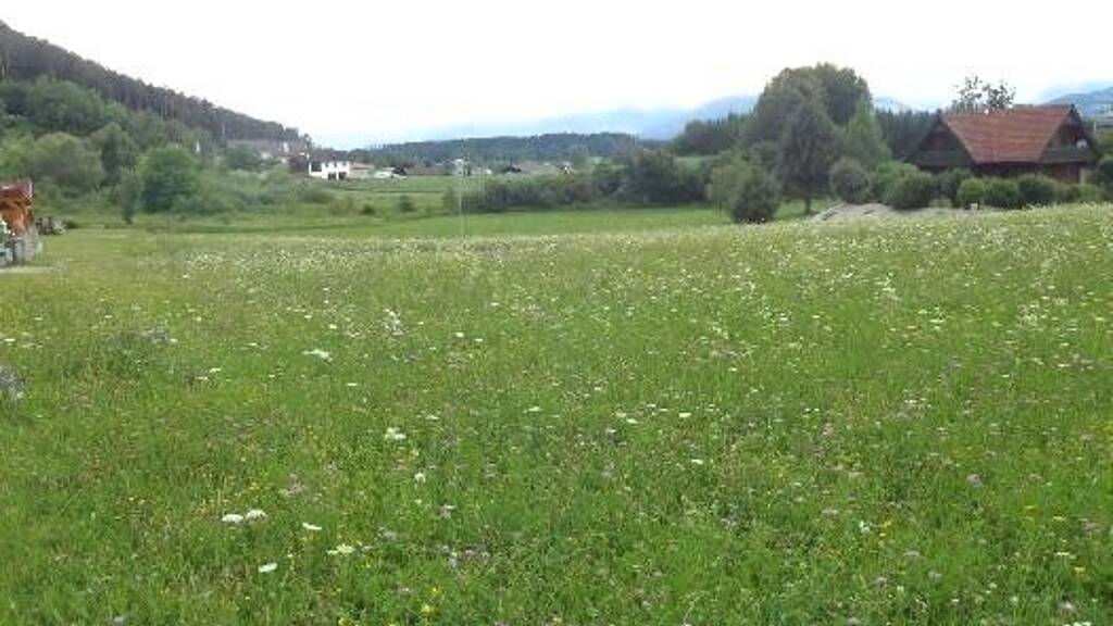 Grundstück zum Kauf 894 m² Grundstück Eberndorf 9141