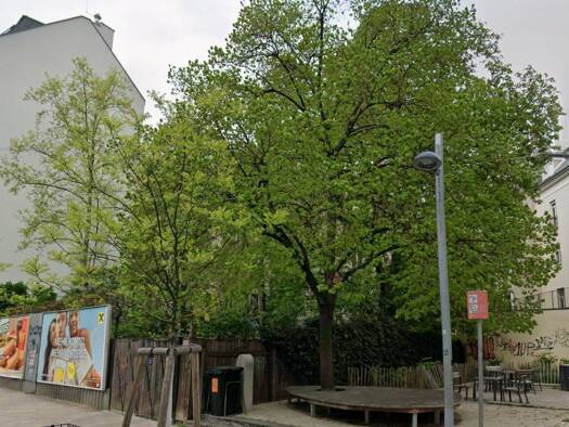 Grundstück zur Miete 725 € 217 m² Grundstück Wieden 1040