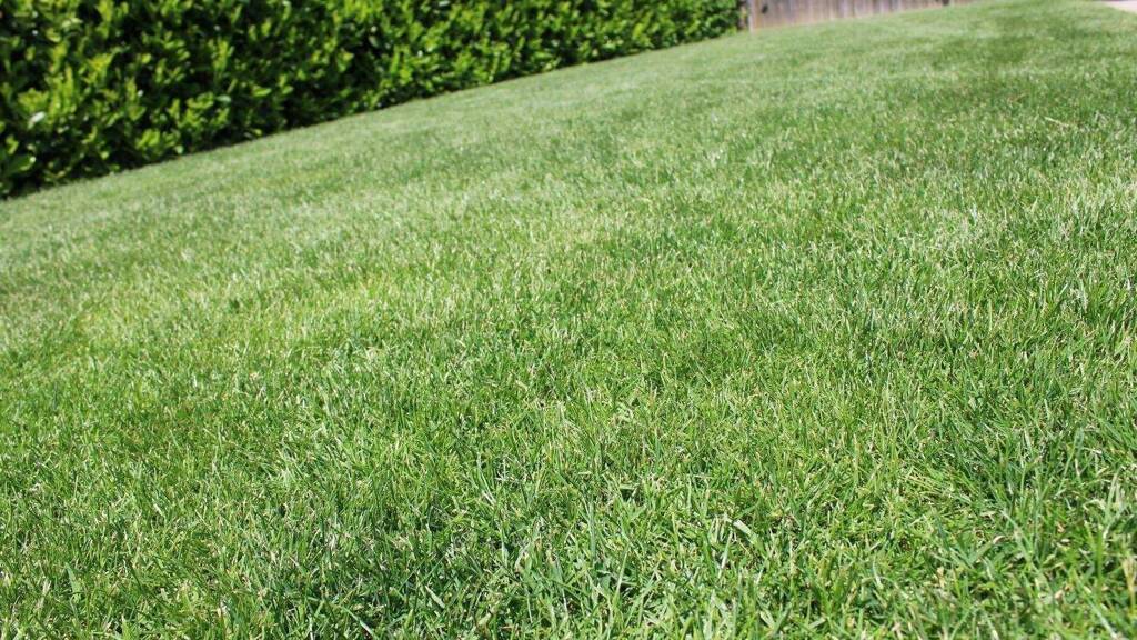 Grundstück zum Kauf 380.000 € 426 m² Grundstück Schwabelweis Regensburg 93055