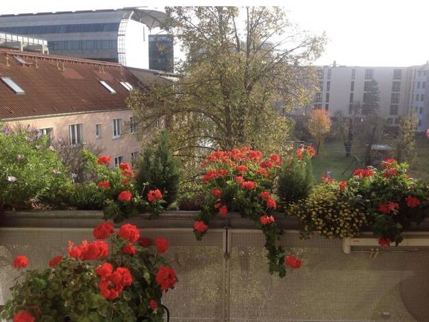 Wohnung zum Kauf provisionsfrei 370.000 € 3,5 Zimmer 84,5 m² 3. Geschoss frei ab 01.01.2027 Friedhofsweg 4 Kröpeliner Tor-Vorstadt Rostock 18057