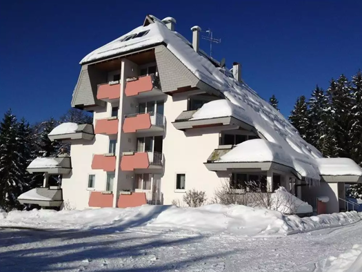 Wohnung zum Kauf provisionsfrei 190.000 € 1 Zimmer 43 m² Geschoss 1/4 Hiera 39 Saig Lenzkirch 79853