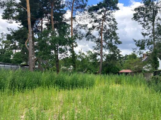 Einfamilienhaus zum Kauf provisionsfrei 469.000 € 3 Zimmer 92 m² 736 m² Grundstück Zernsdorf Königs Wusterhausen 15758