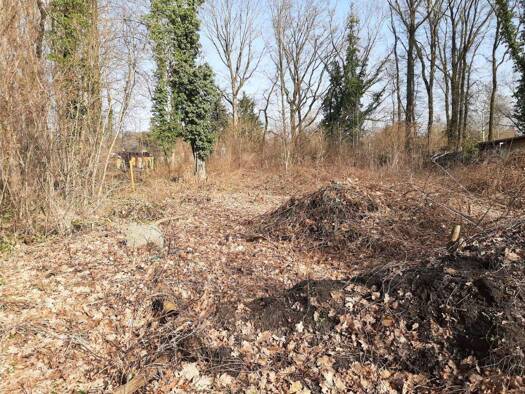 Grundstück zum Kauf 295.000 € 1.650 m² Grundstück Niemtsch Senftenberg / Niemtsch 01968