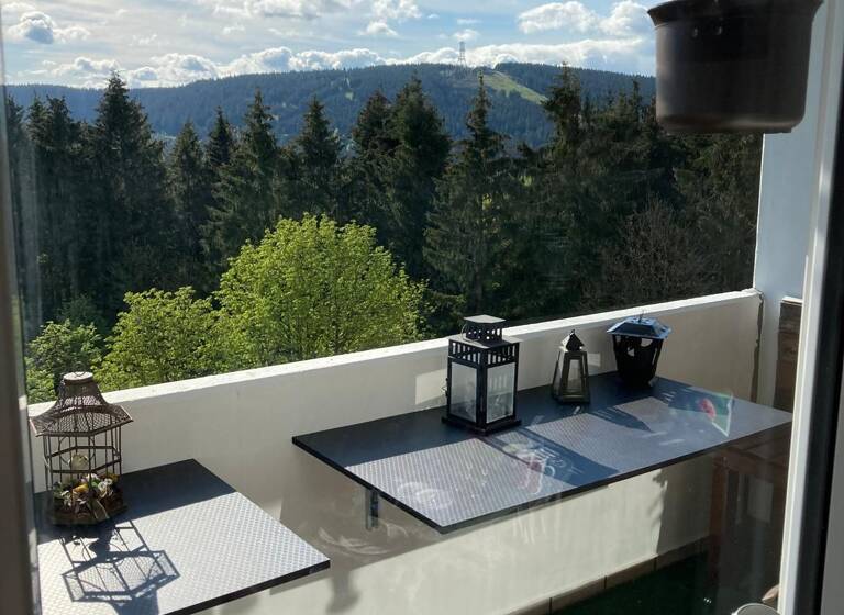 Wohnung zum Kauf 49.000 € 5 Zimmer 59 m²<br/>Wohnfläche 6.<br/>Geschoss Hahnenklee Goslar 38644