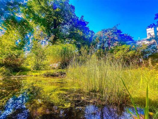 Einfamilienhaus zum Kauf 1.449.000 € 5 Zimmer 220 m² 800 m² Grundstück Dahlem Berlin 14195