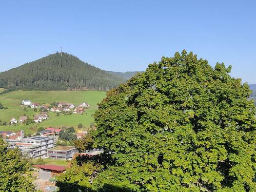 Wohnung zum Kauf provisionsfrei 69.900 € 1,5 Zimmer 29,5 m² Geschoss 4/5 Baiersbronn 72270